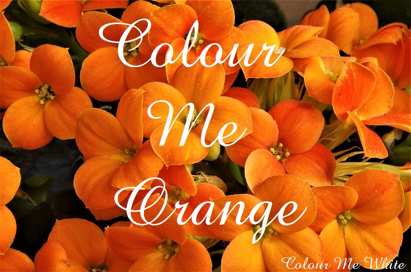 Colour Me Orange